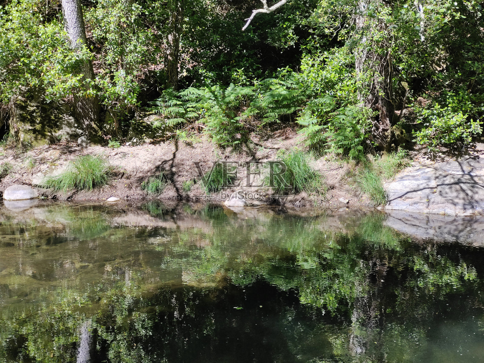 自然界中的河流照片摄影图片
