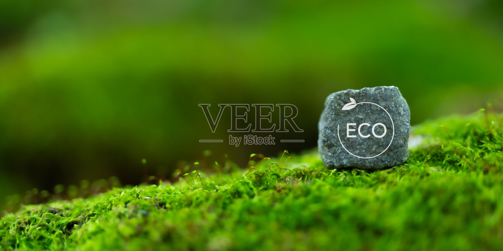 生态友好，节约地球，节约环境，节约清洁星球，生态理念。绿色商业，可持续发展环境。保护环境。世界地球日，世界环境日。照片摄影图片