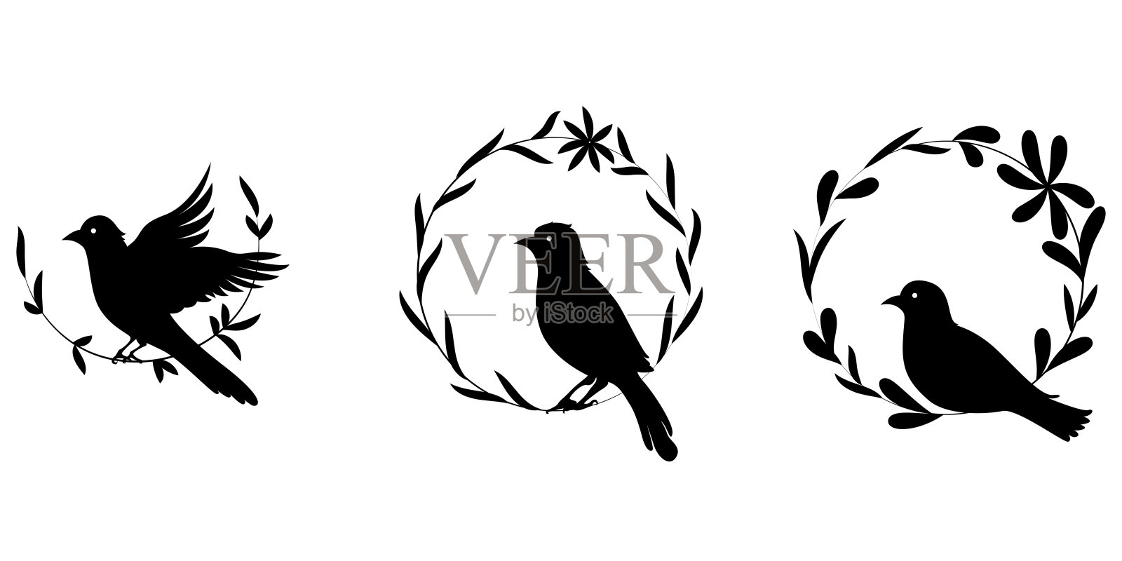 一套轮廓鸟和圆形树叶上的白色背景，矢量设计插画图片素材