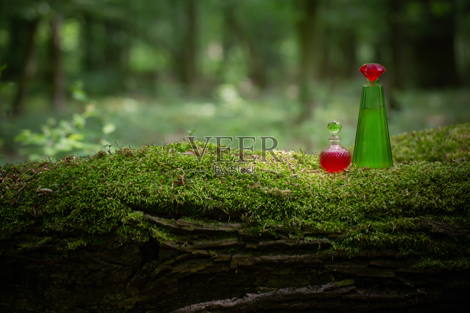 夏日森林里装着魔法药水的玻璃瓶照片摄影图片