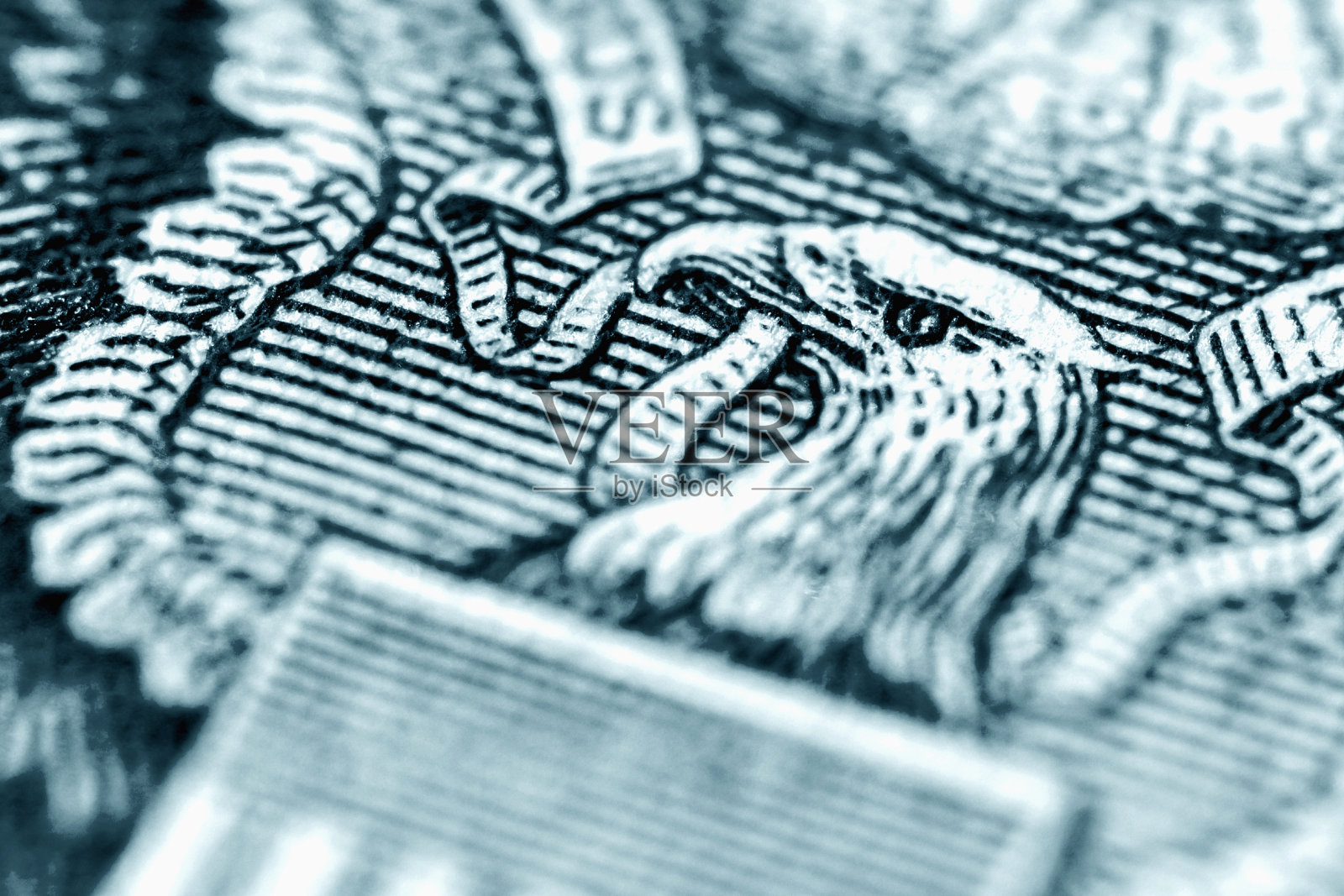 近距离美元钞票，宏观图像。选择性聚焦鹰眼。照片摄影图片