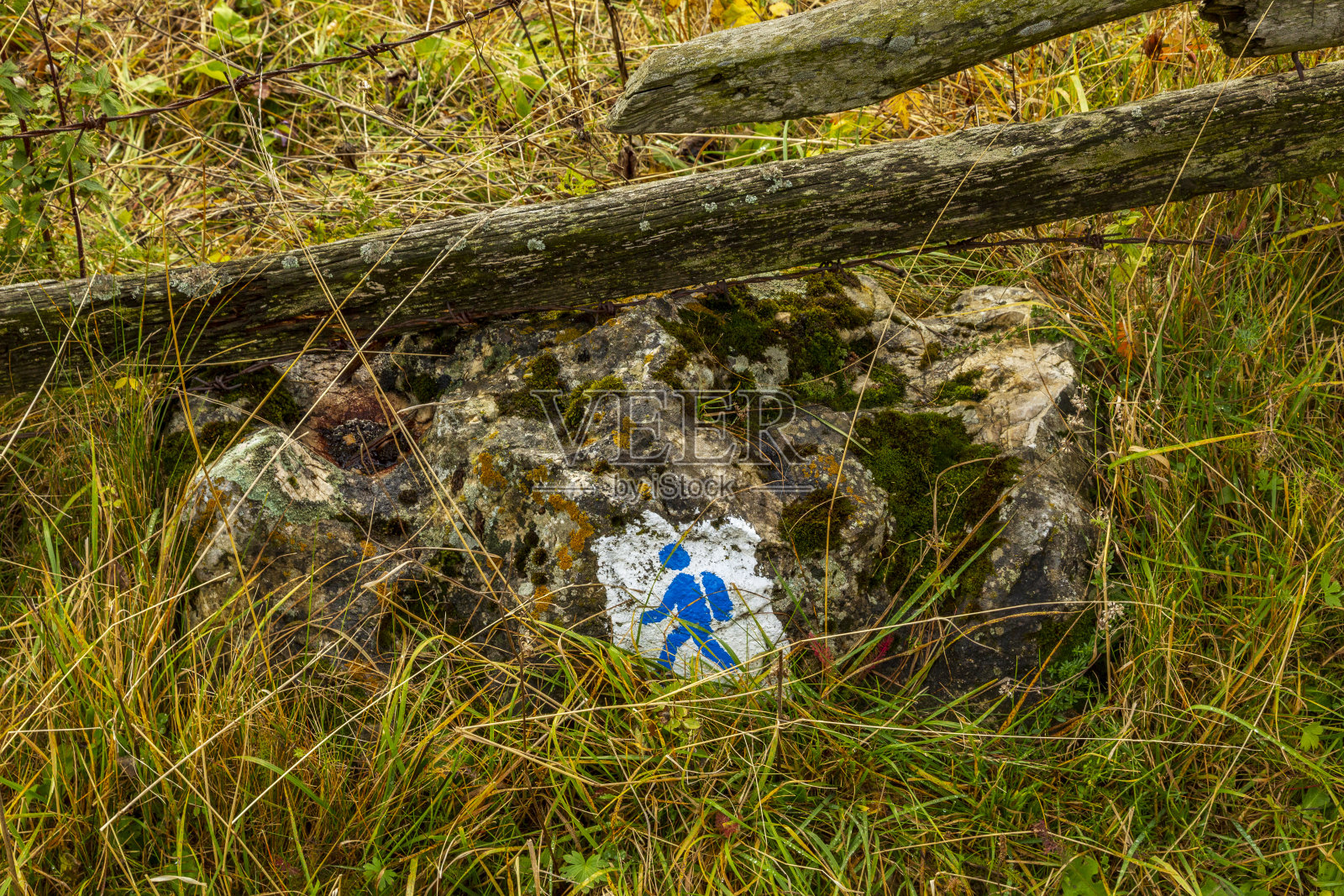 欧洲，罗马尼亚，特兰西瓦尼亚，喀尔巴阡山脉。山坡，徒步小径，田野。照片摄影图片