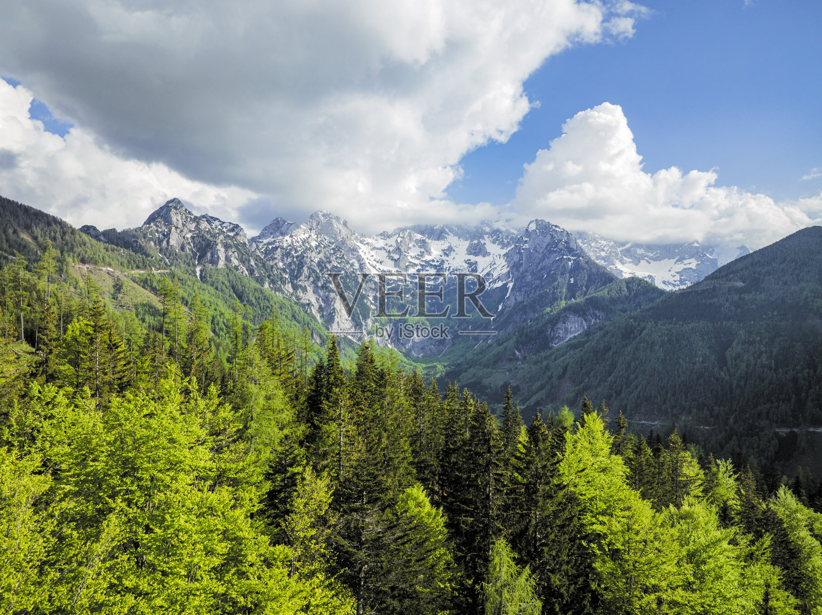 卡姆尼克萨维加阿尔卑斯山脉的高山春季景观照片摄影图片