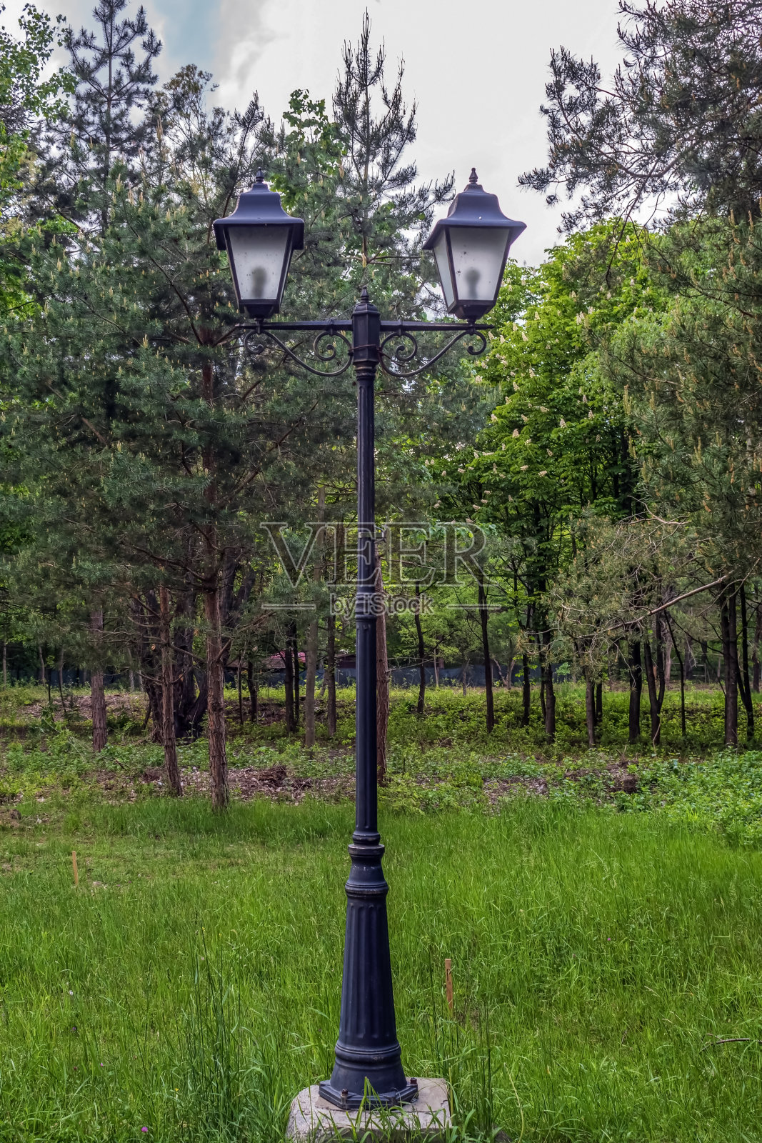 景观-森林-欧洲，罗马尼亚，苏切瓦地区照片摄影图片