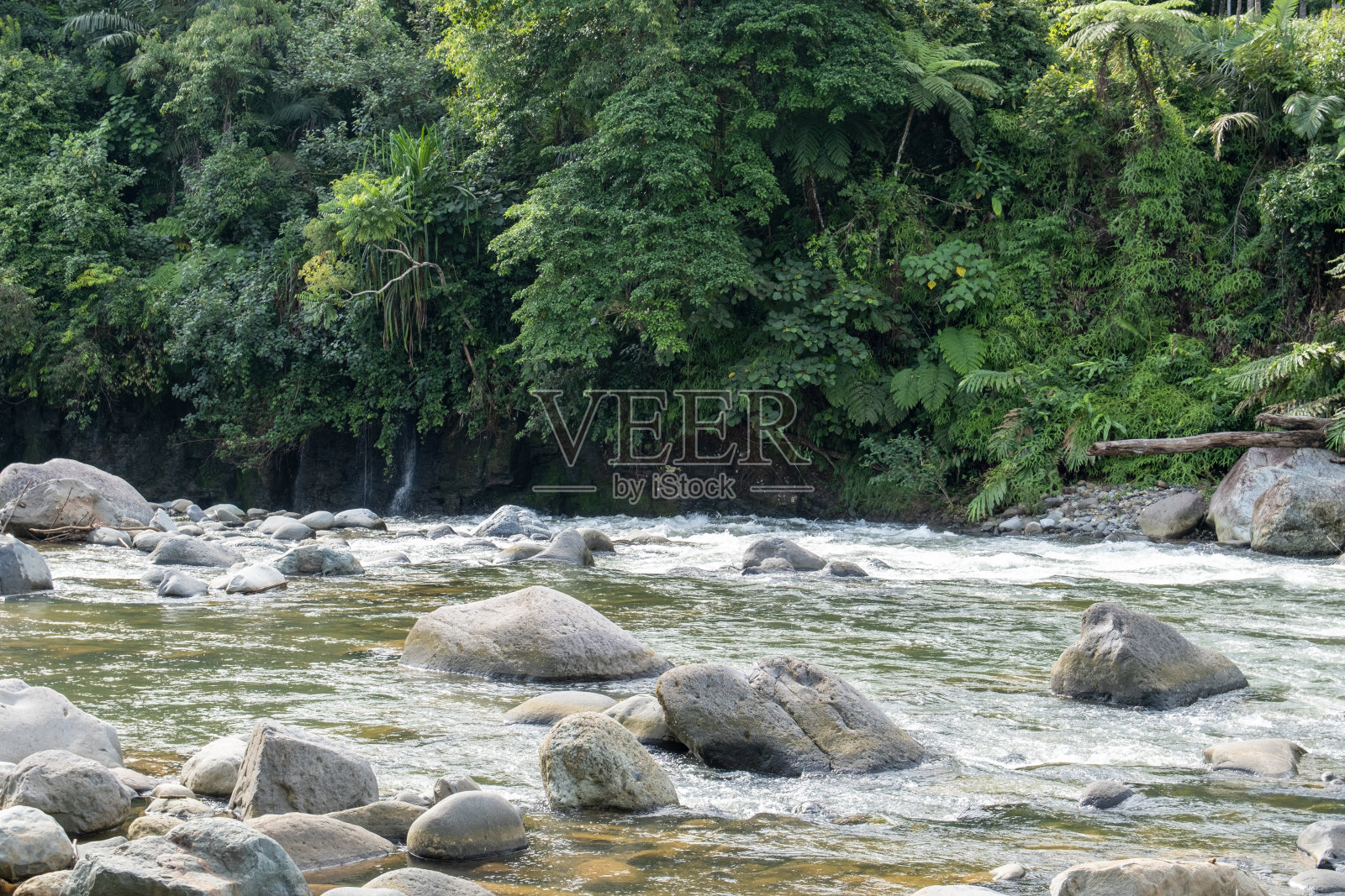 有大岩石的热带河流照片摄影图片