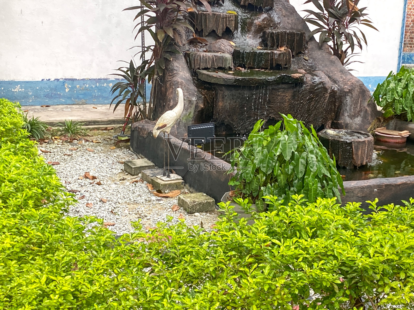 室外景观鱼塘瀑布。照片摄影图片