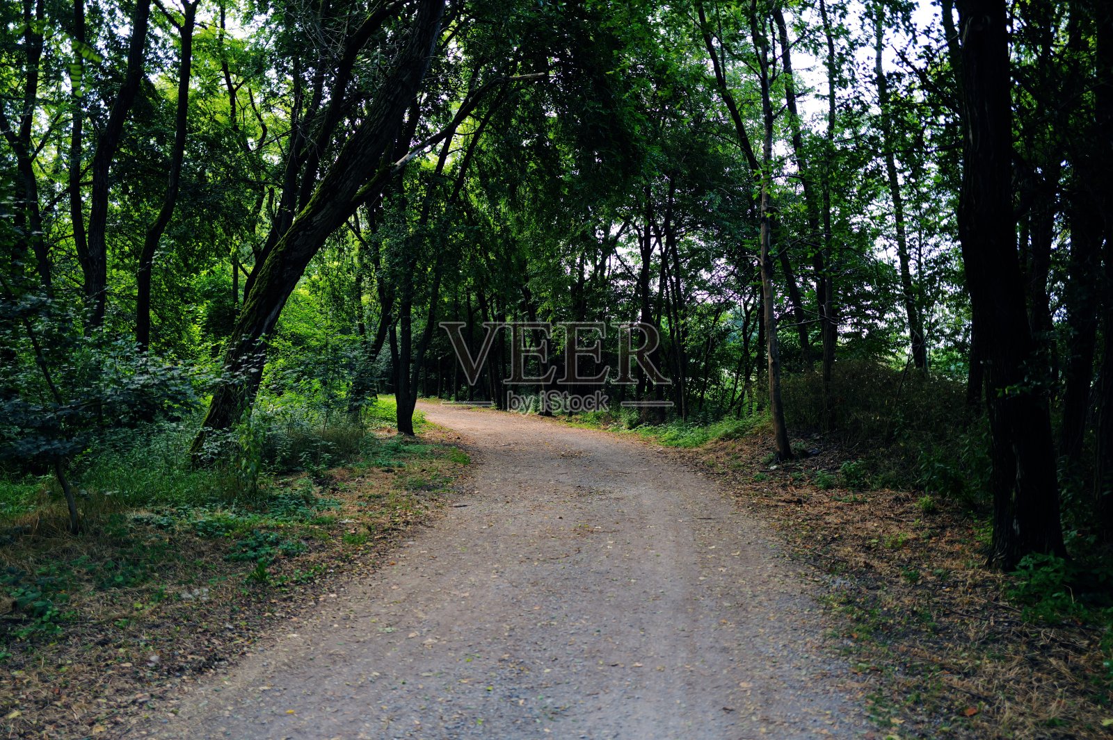 乡间小路照片摄影图片