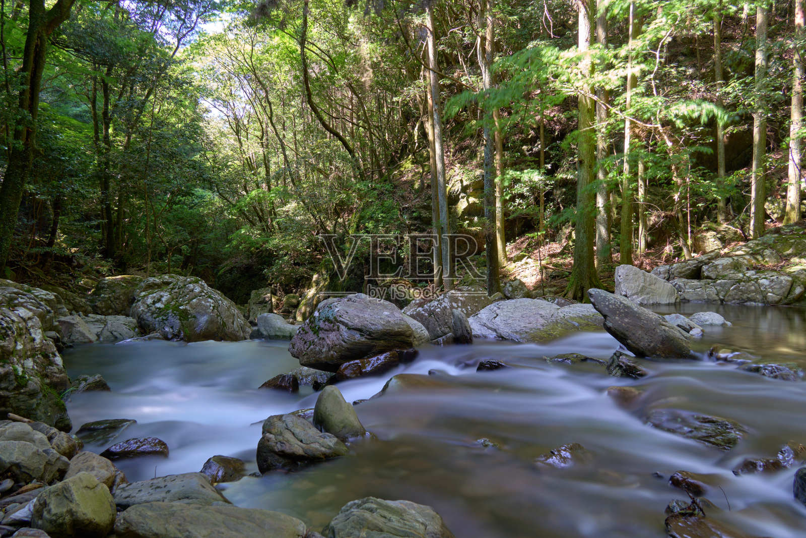 [新四郎]山间溪流流过岩石(长时间曝光)照片摄影图片