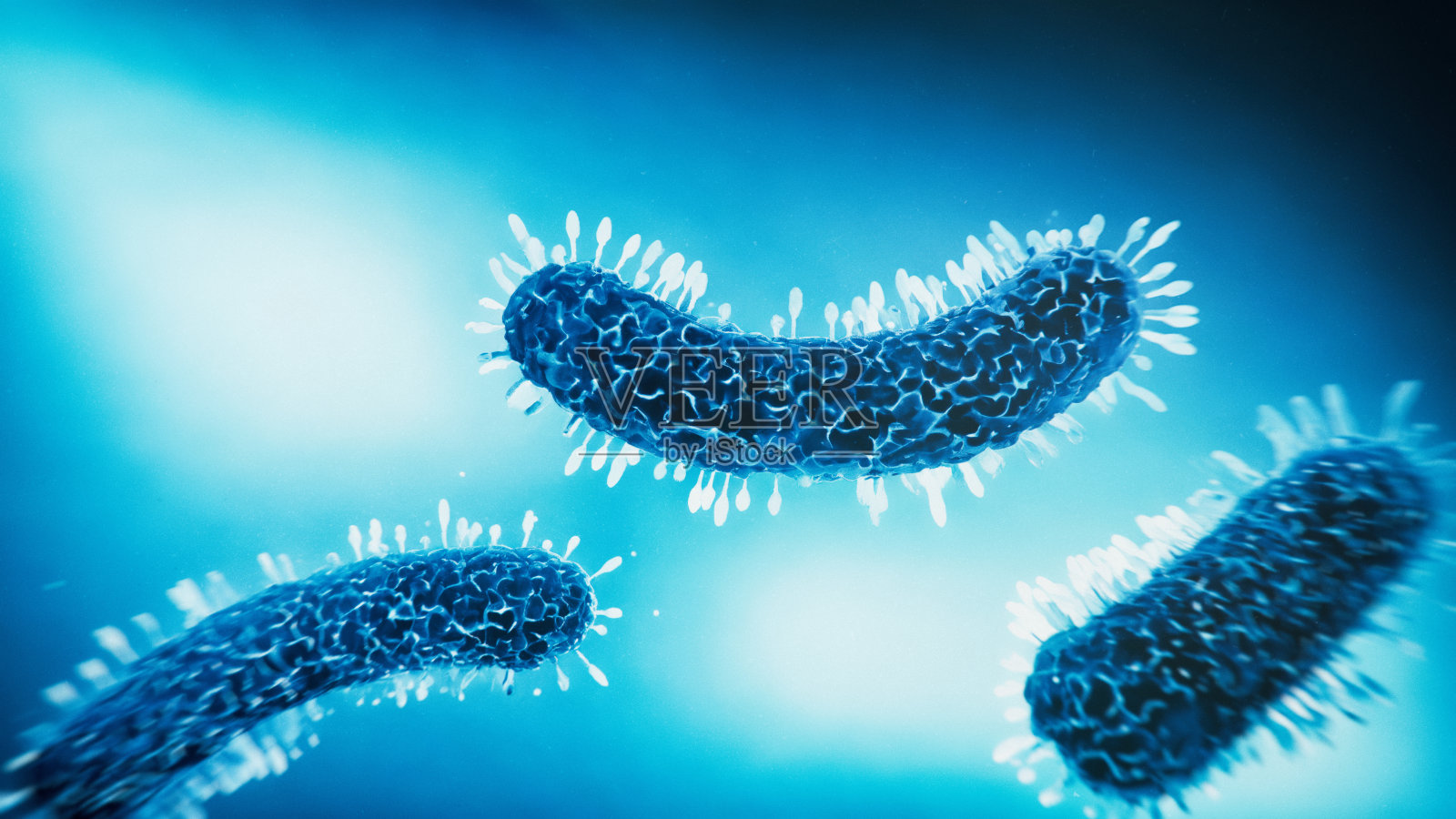 细菌医学插图照片摄影图片