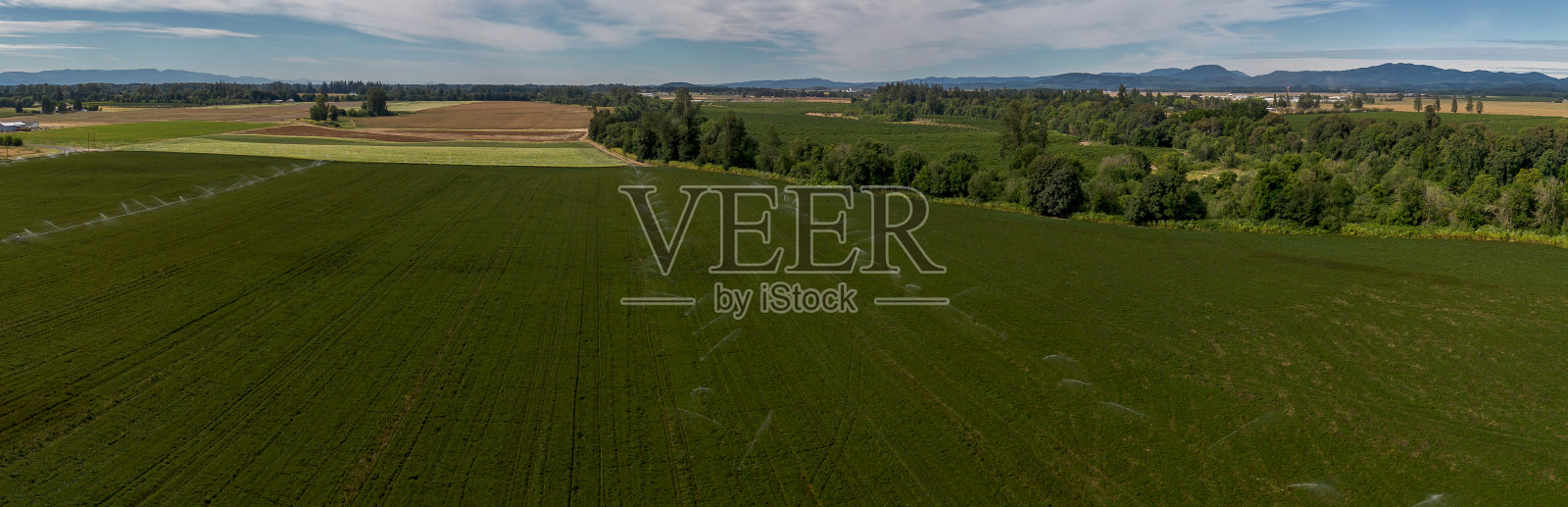 俄勒冈州威拉米特谷照片摄影图片