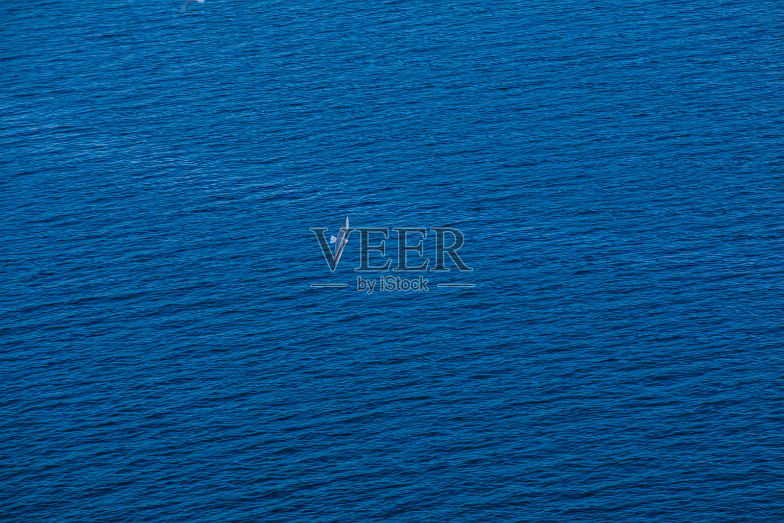 马赛港的景色照片摄影图片