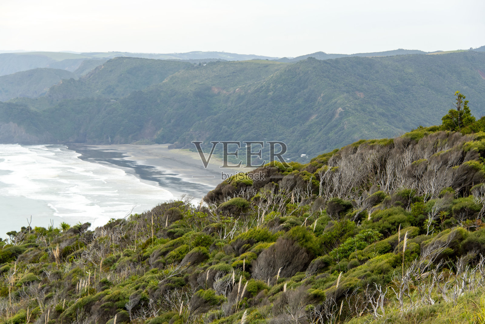 怀塔克雷山脉地区公园照片摄影图片