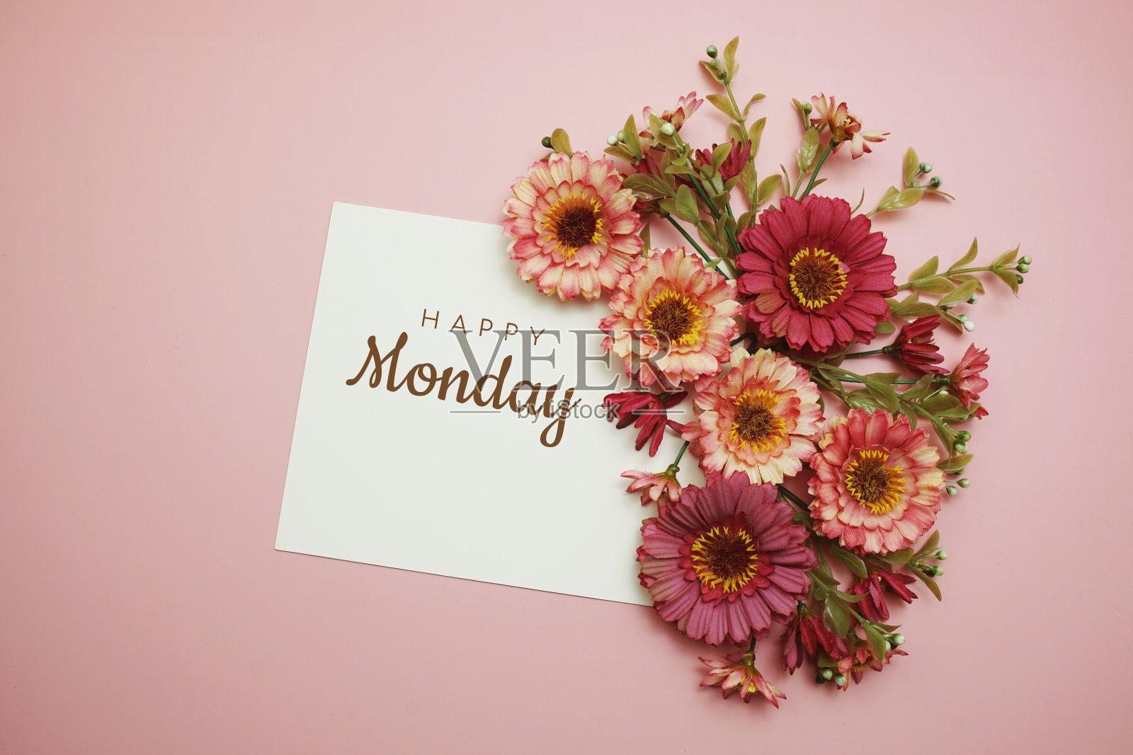 快乐星期一版式文字与花在粉红色的背景照片摄影图片