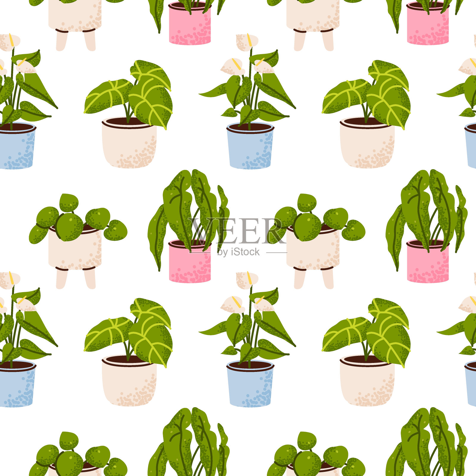 houseplants_3插画图片素材