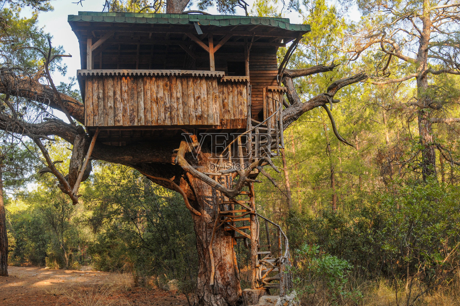 Termessos国家公园的野生动物天文台照片摄影图片