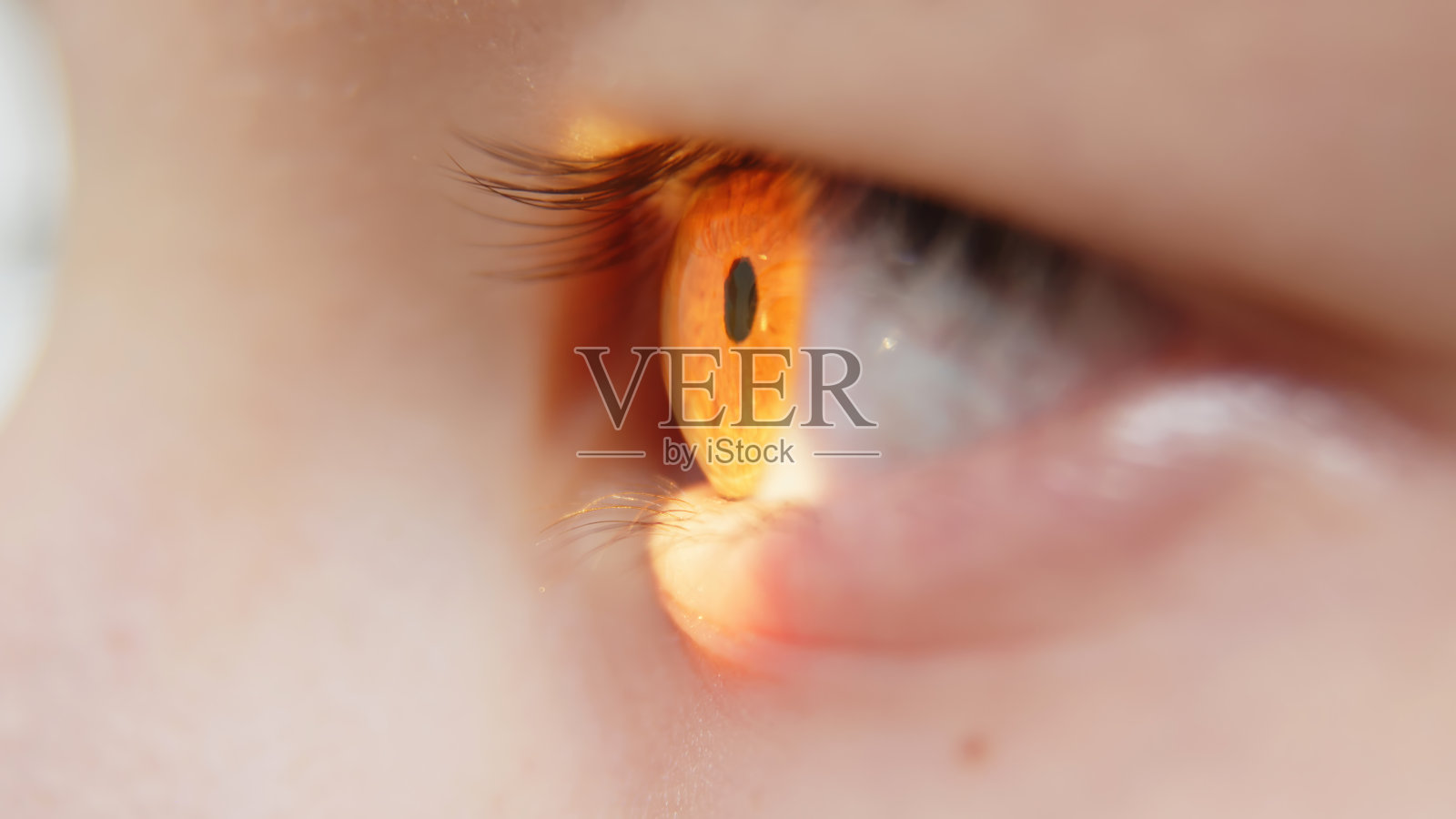 在现代眼科诊所，一个小病人接受视力诊断。在一个现代诊所的内部。早期视力矫正和诊断的概念。照片摄影图片