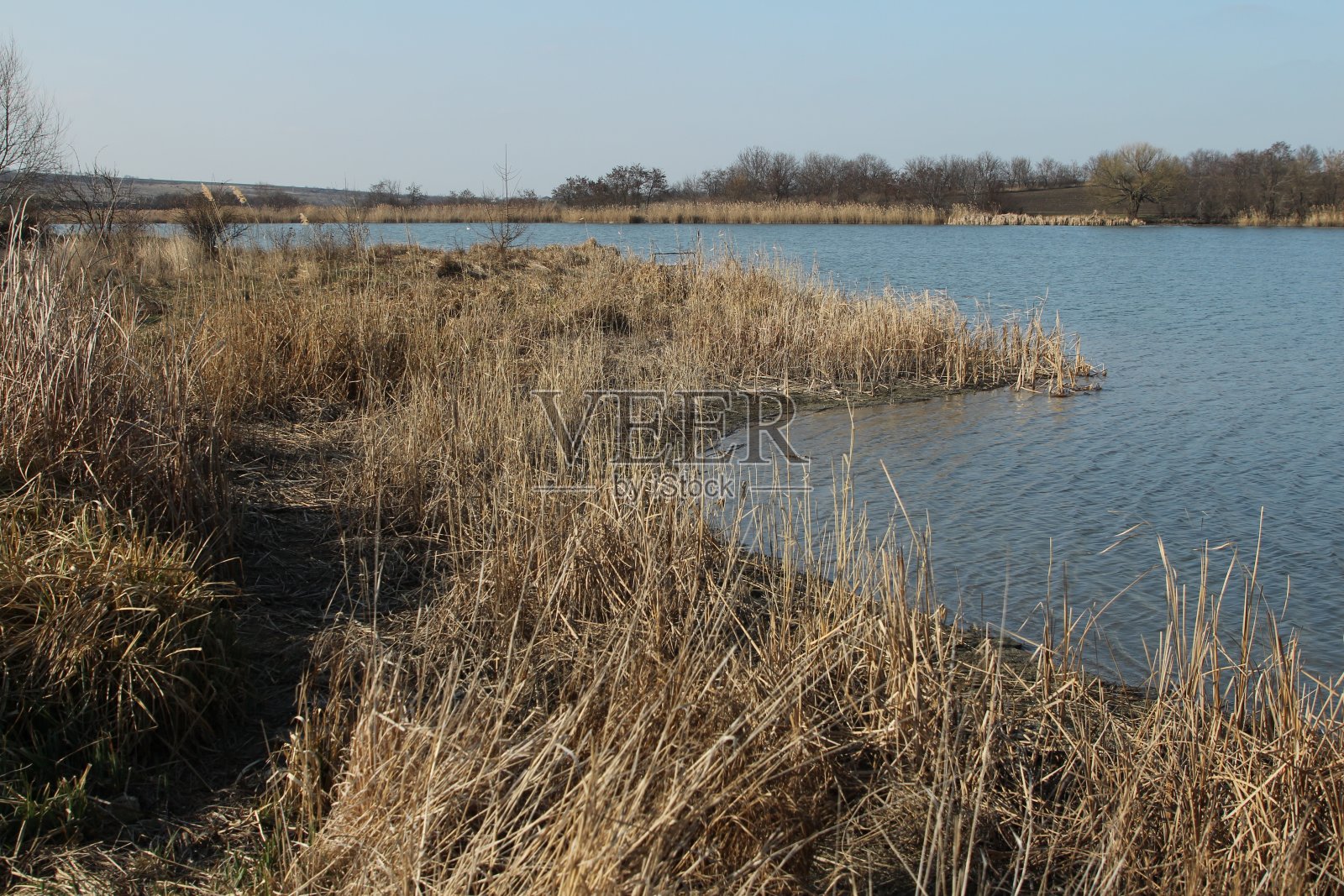 背景中有草和树的水体照片摄影图片