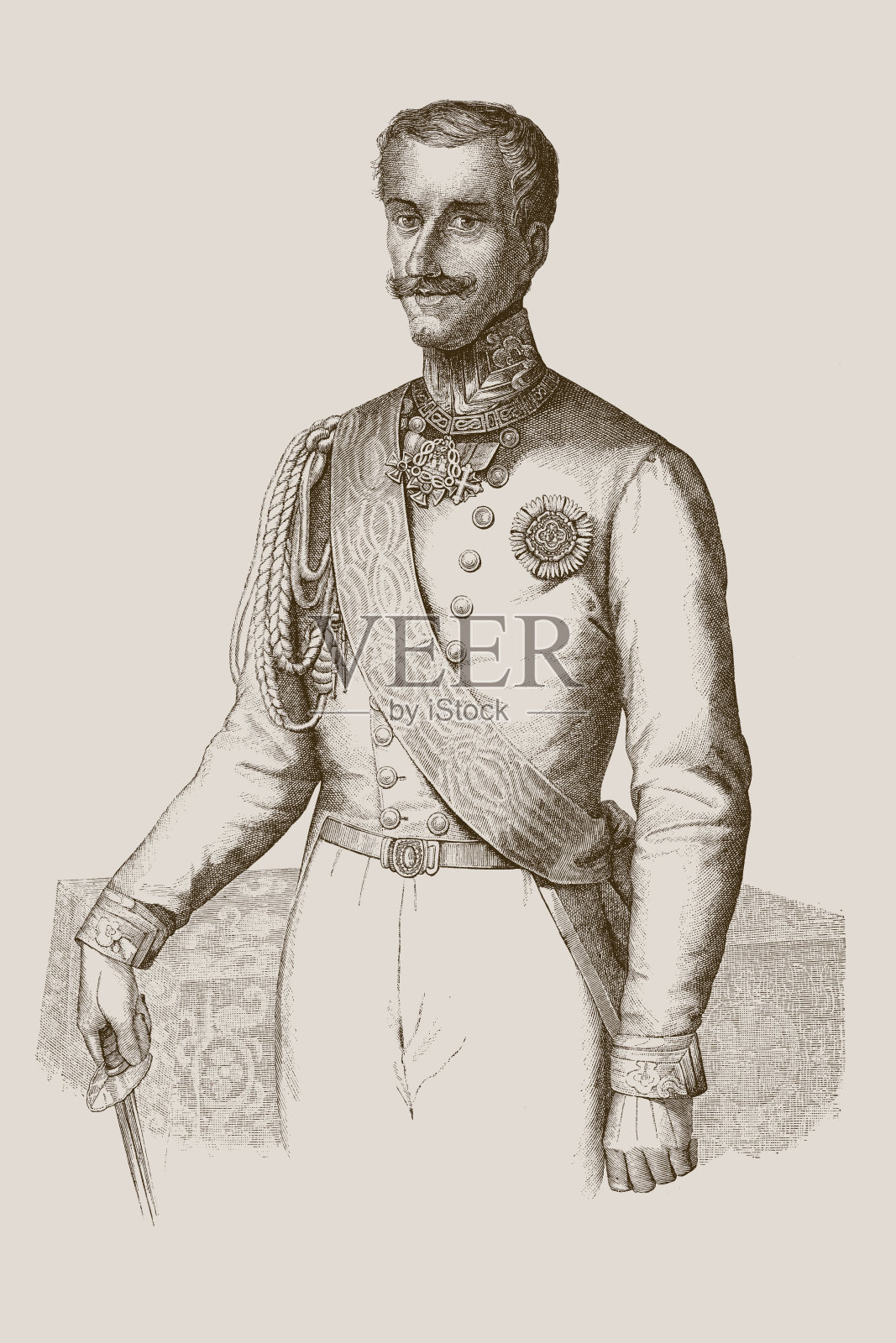 查尔斯·阿尔伯特是1831年4月27日至1849年3月23日的撒丁岛国王插画图片素材