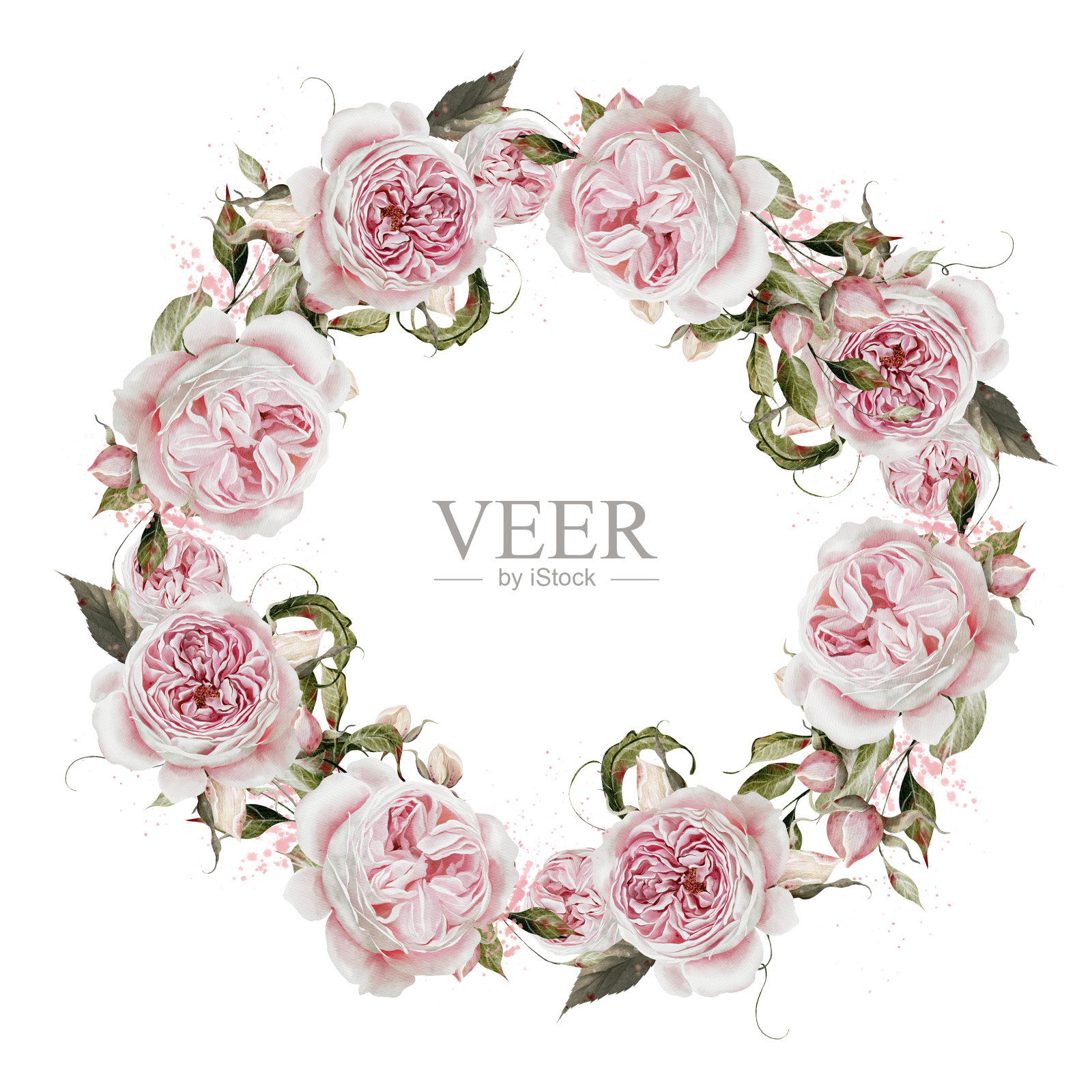 水彩花环与玫瑰和树叶。插画图片素材