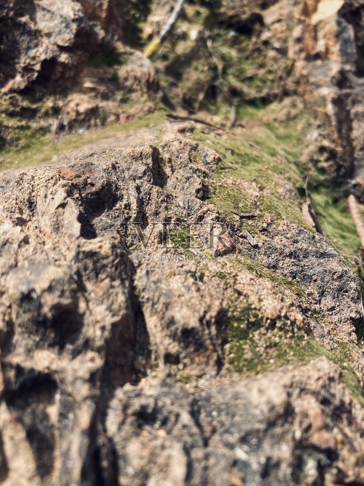 阳光下的一块石头照片摄影图片