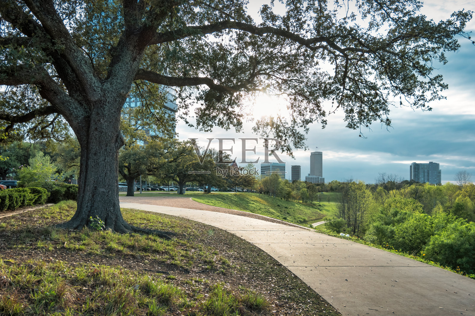 布法罗河公园树美国得克萨斯州照片摄影图片