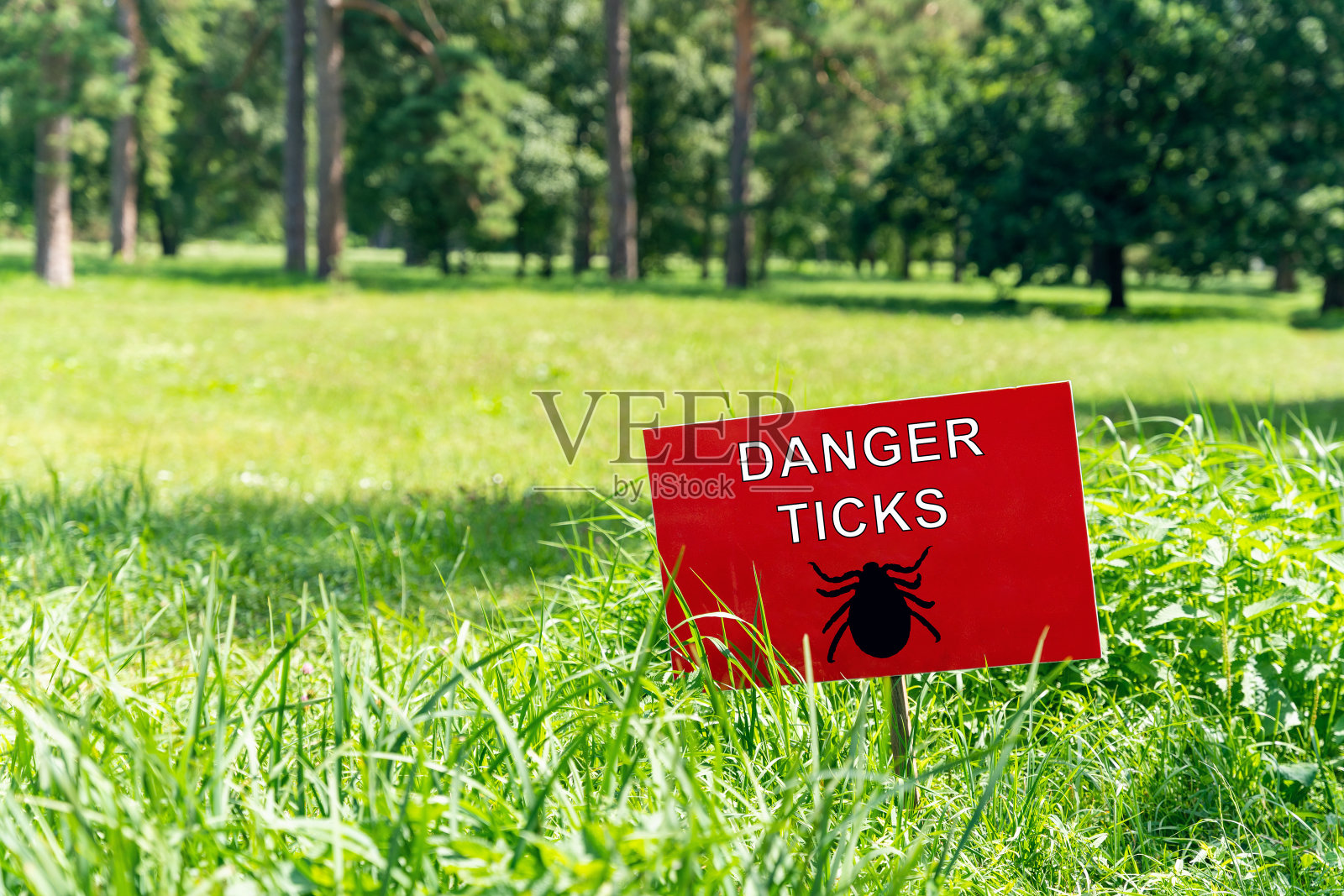 草坪上的牌子上写着:危险蜱虫照片摄影图片
