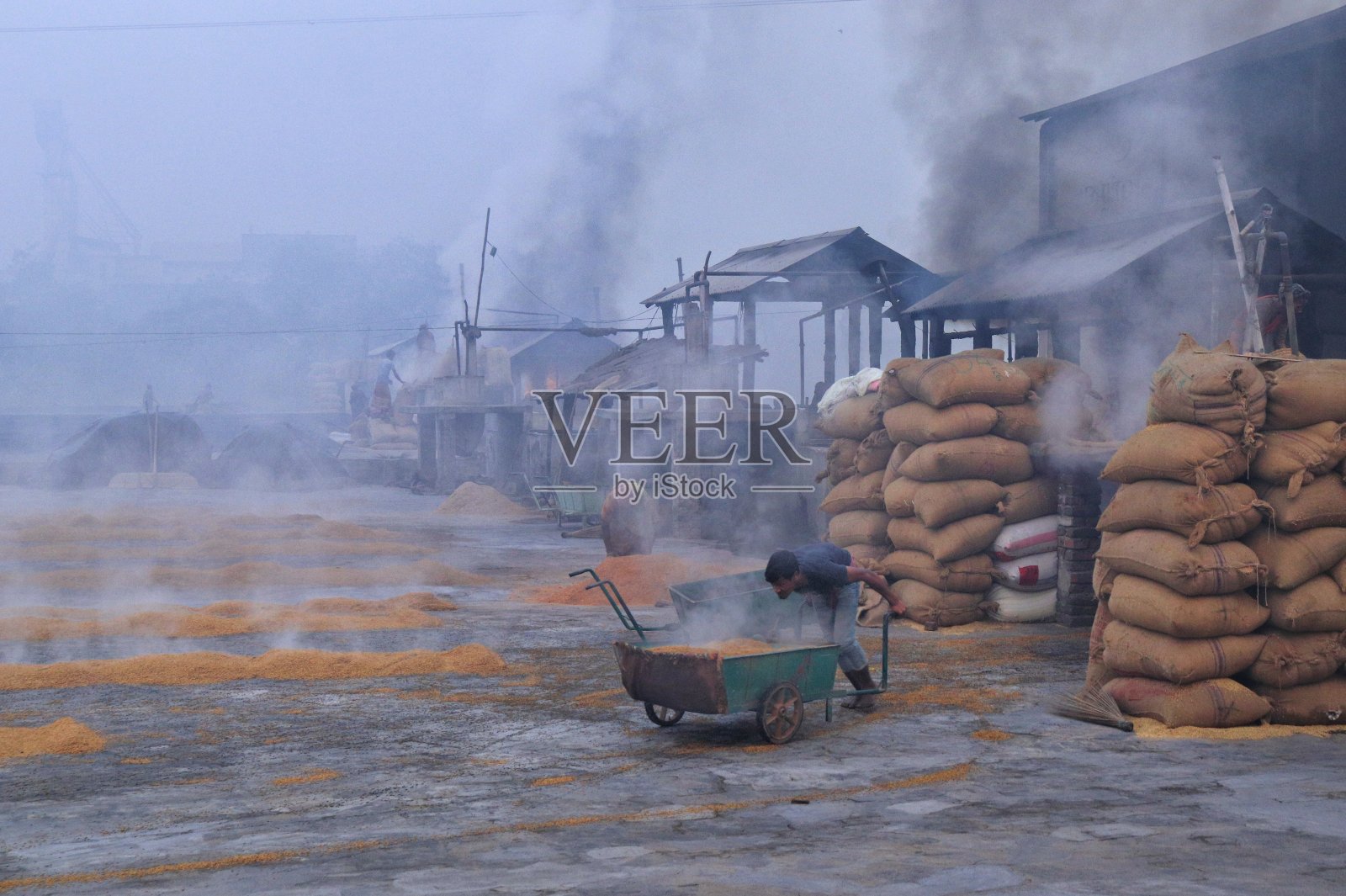 工人铺水煮过的稻谷照片摄影图片