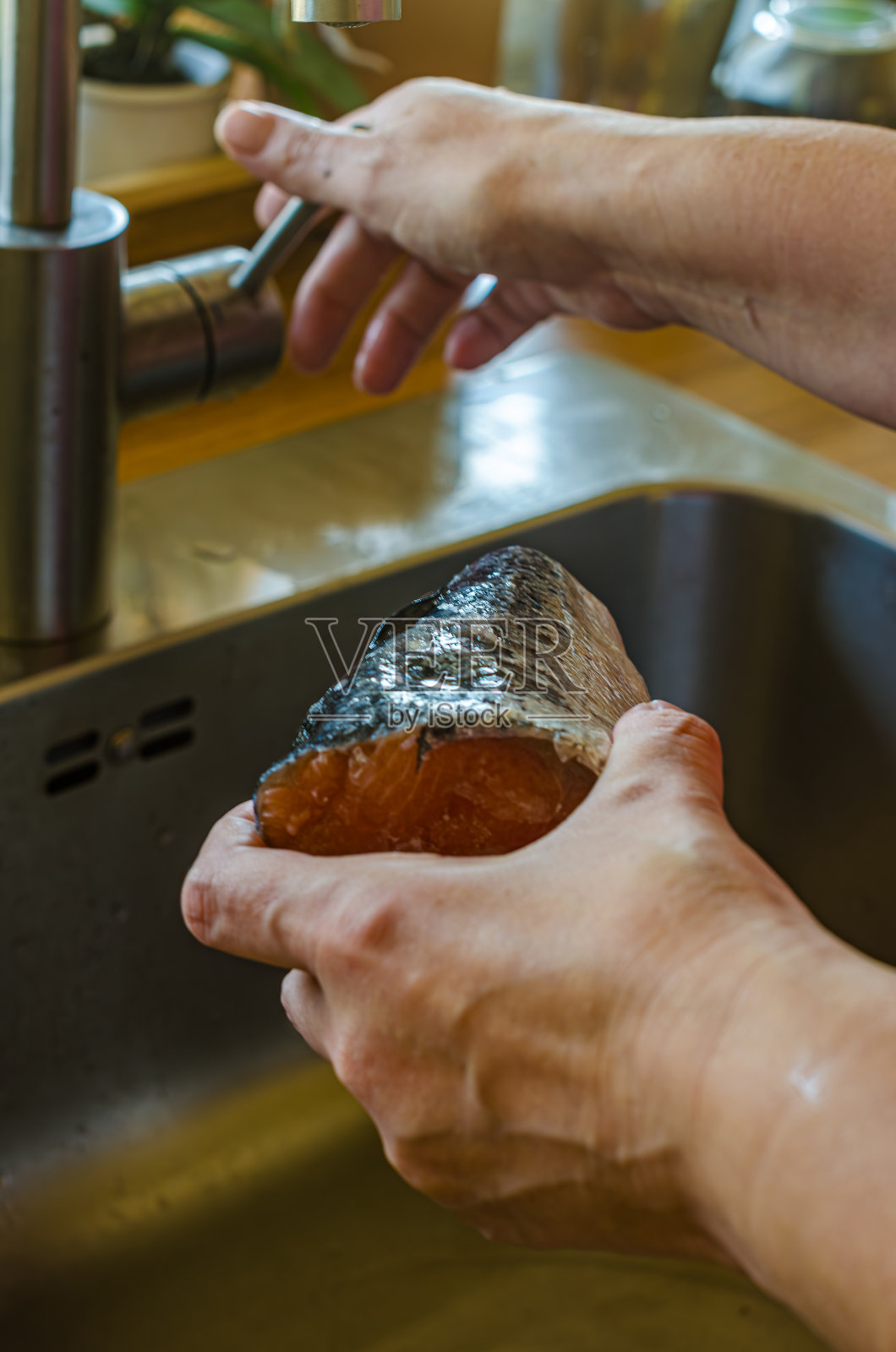 妇女正在用手清洗鲑鱼的一部分。高质量照片照片摄影图片