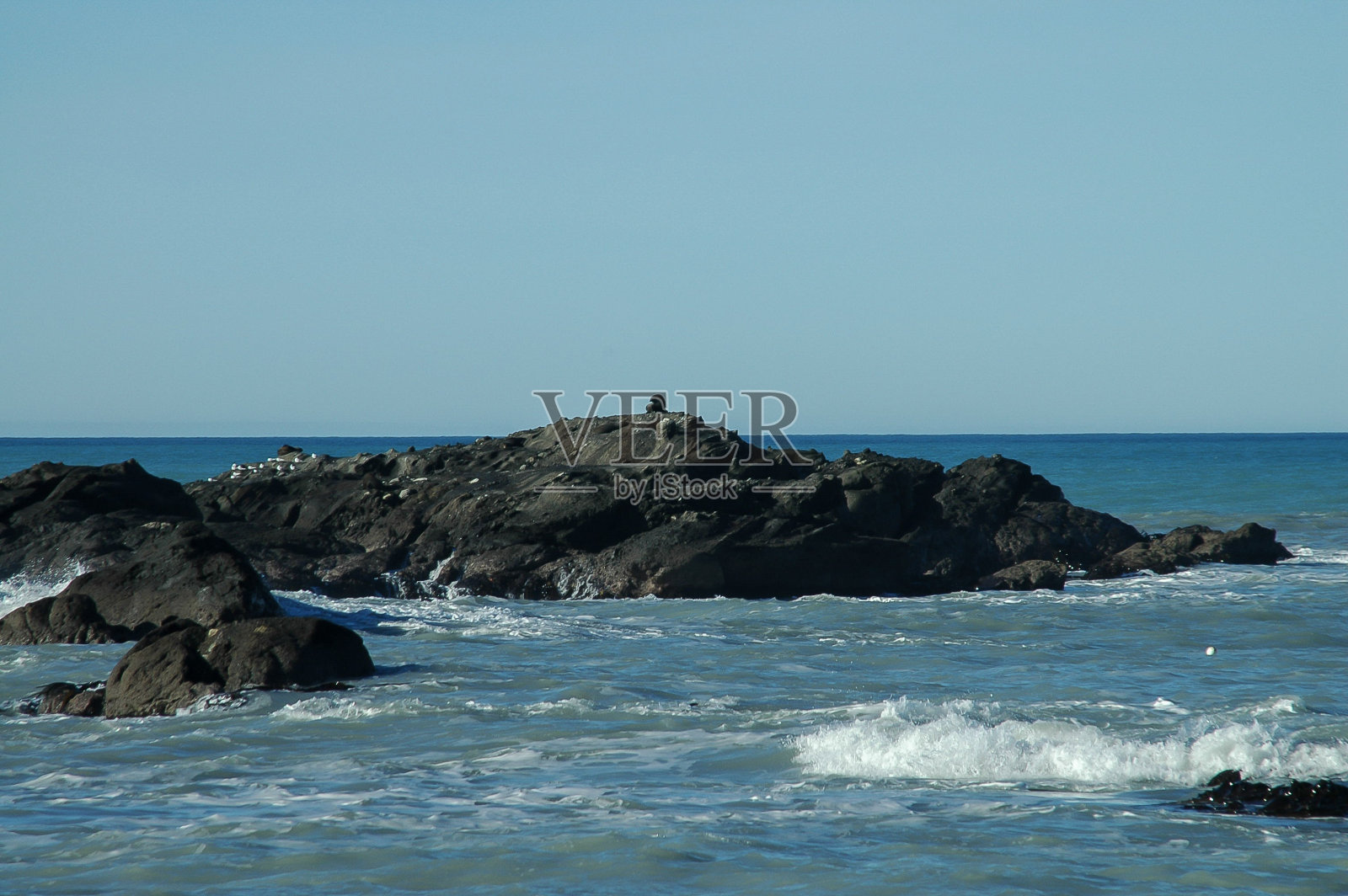 在新西兰冬日的阳光下漫步在海滩上照片摄影图片