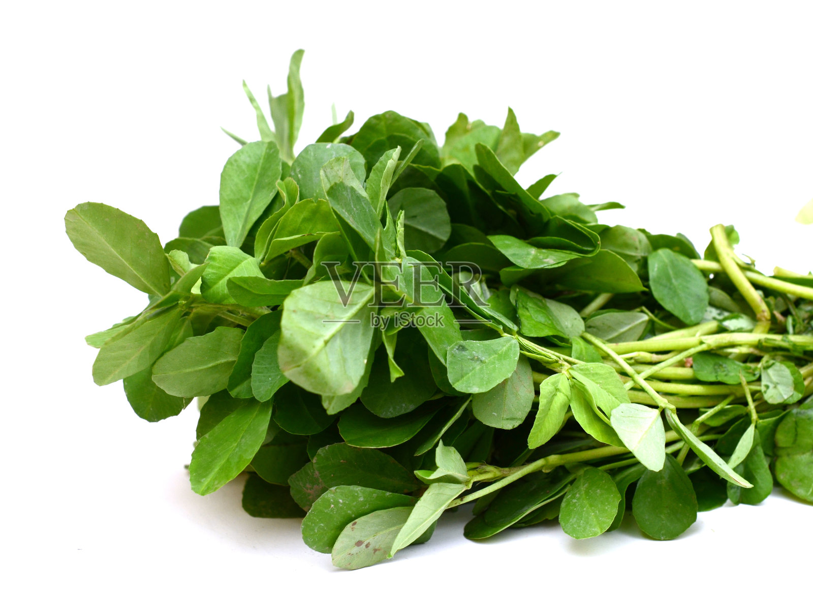 胡芦巴(葫芦巴)叶束照片摄影图片