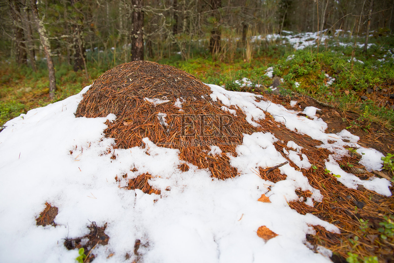 人群密集的地方照片摄影图片