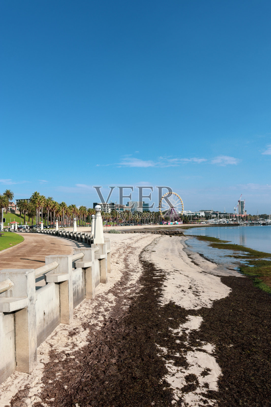 以城市景观和摩天轮为背景的沿海城市景观照片摄影图片