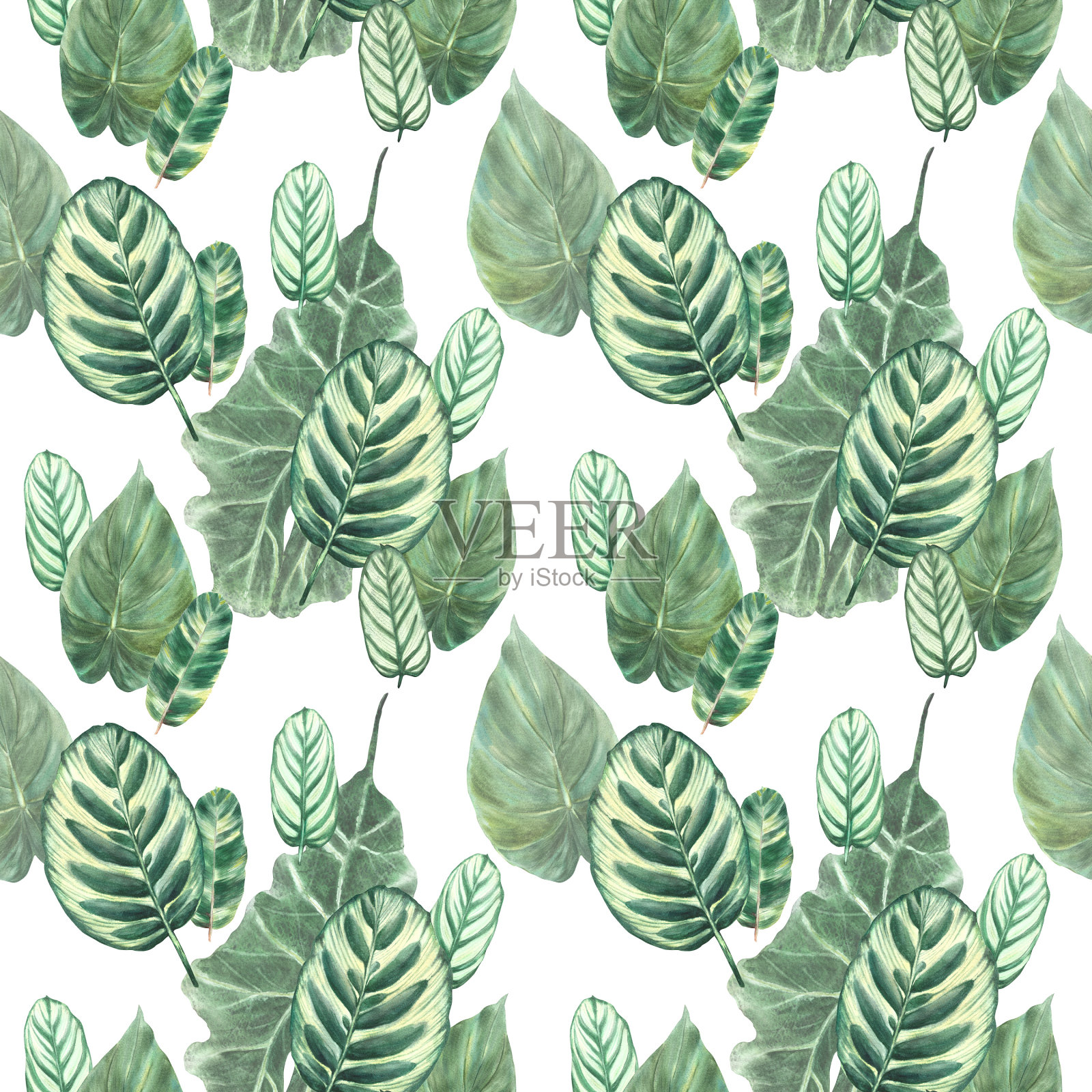 热带绿叶，夏日绿意异域植物叶片无缝花纹。水彩手绘插图插画图片素材