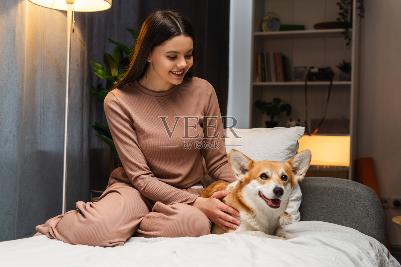 微笑的年轻女孩，十几岁的她在家里的床上抚摸她的柯基狗照片摄影图片