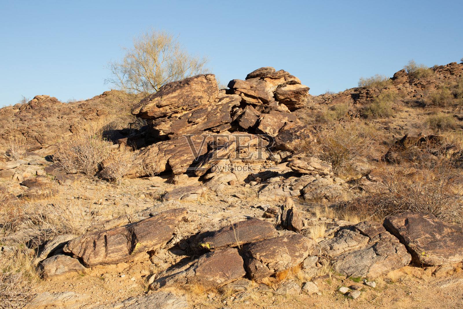 亚利桑那州凤凰城的南山保护区照片摄影图片