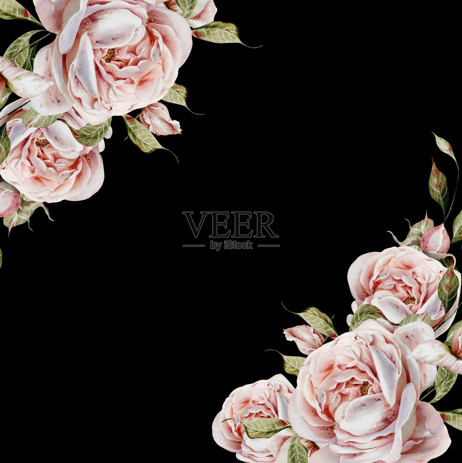 水彩婚礼卡片与玫瑰花和树叶。插画图片素材