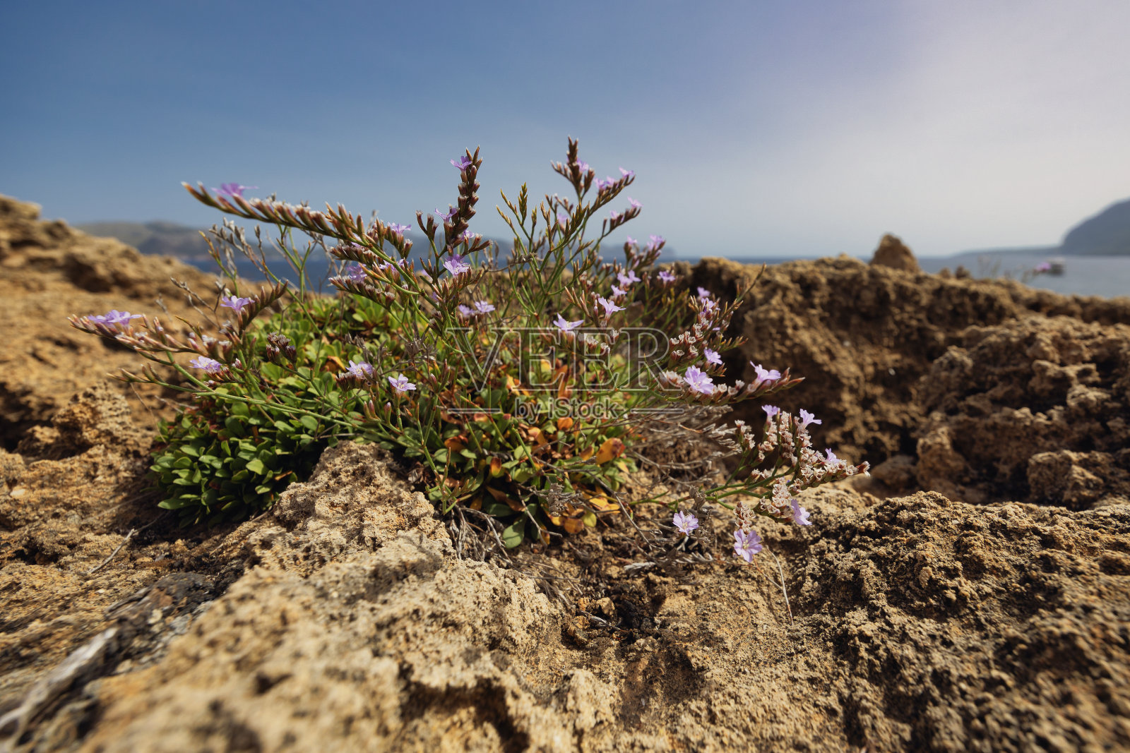马略卡岛的风景。照片摄影图片