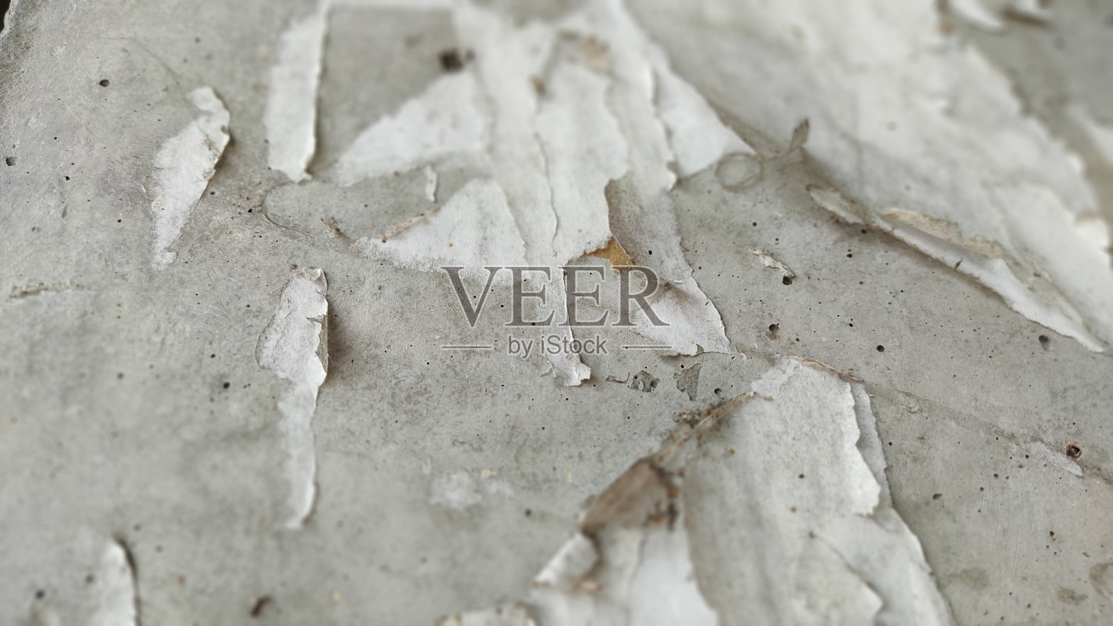 纹理照片摄影图片