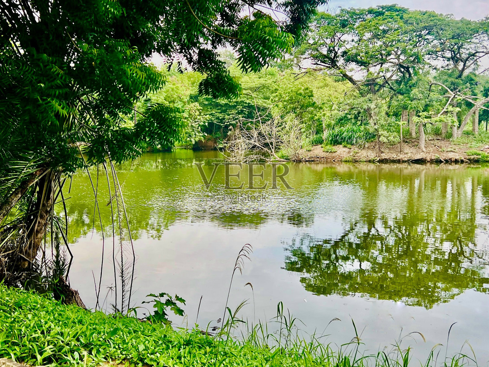 原始的照片摄影图片