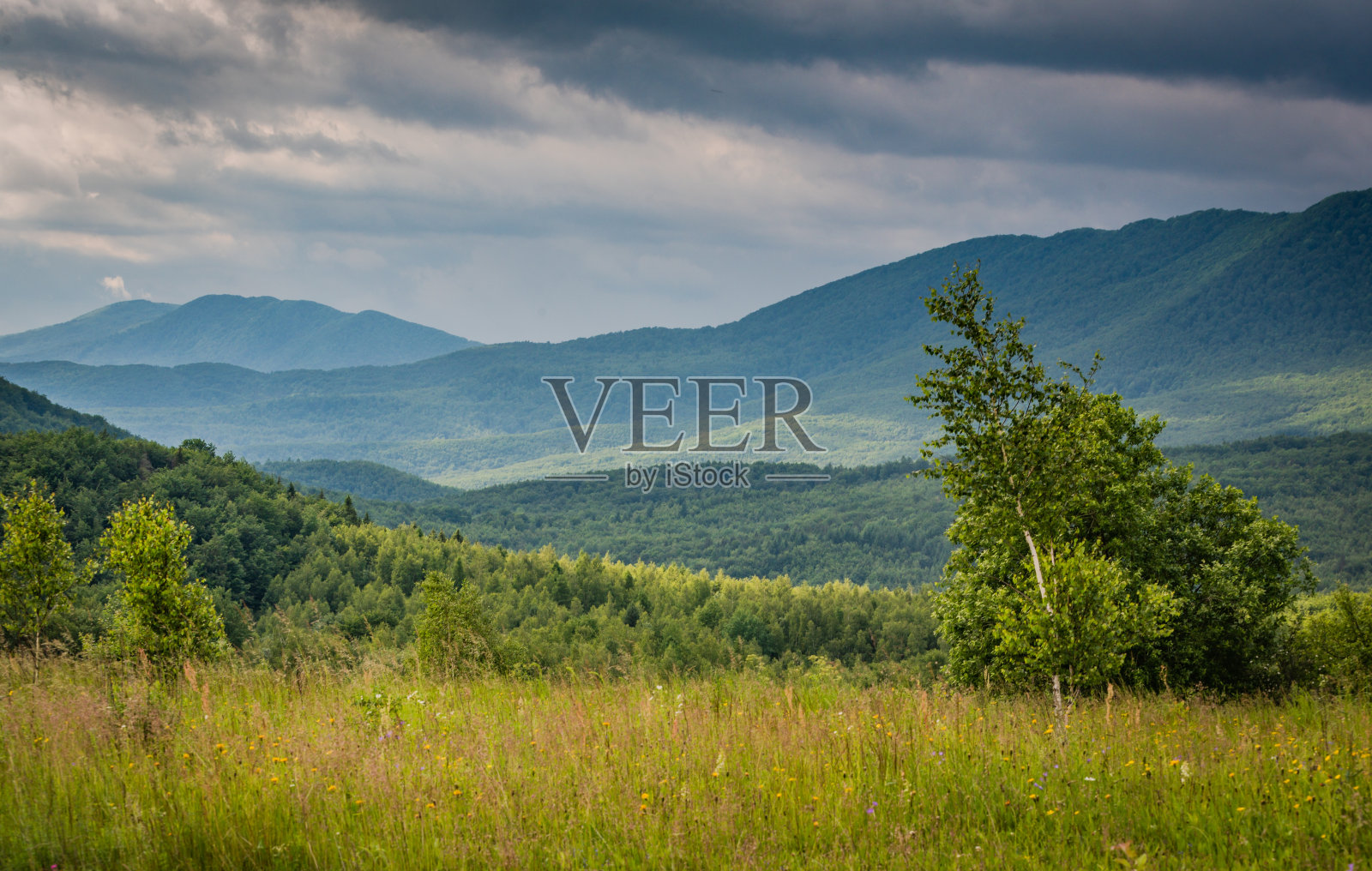 喀尔巴阡山脉的夏季景观照片摄影图片