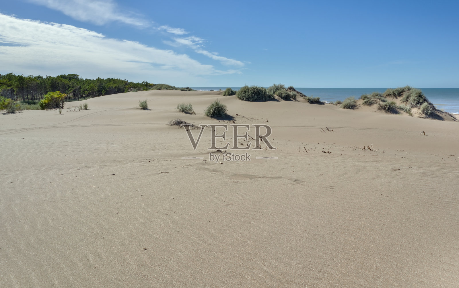 晴空下海边沙丘的自然风光照片摄影图片