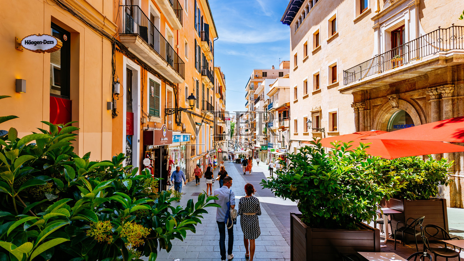 帕尔马德马略卡岛繁忙的街道上有路边咖啡馆和历史建筑。照片摄影图片