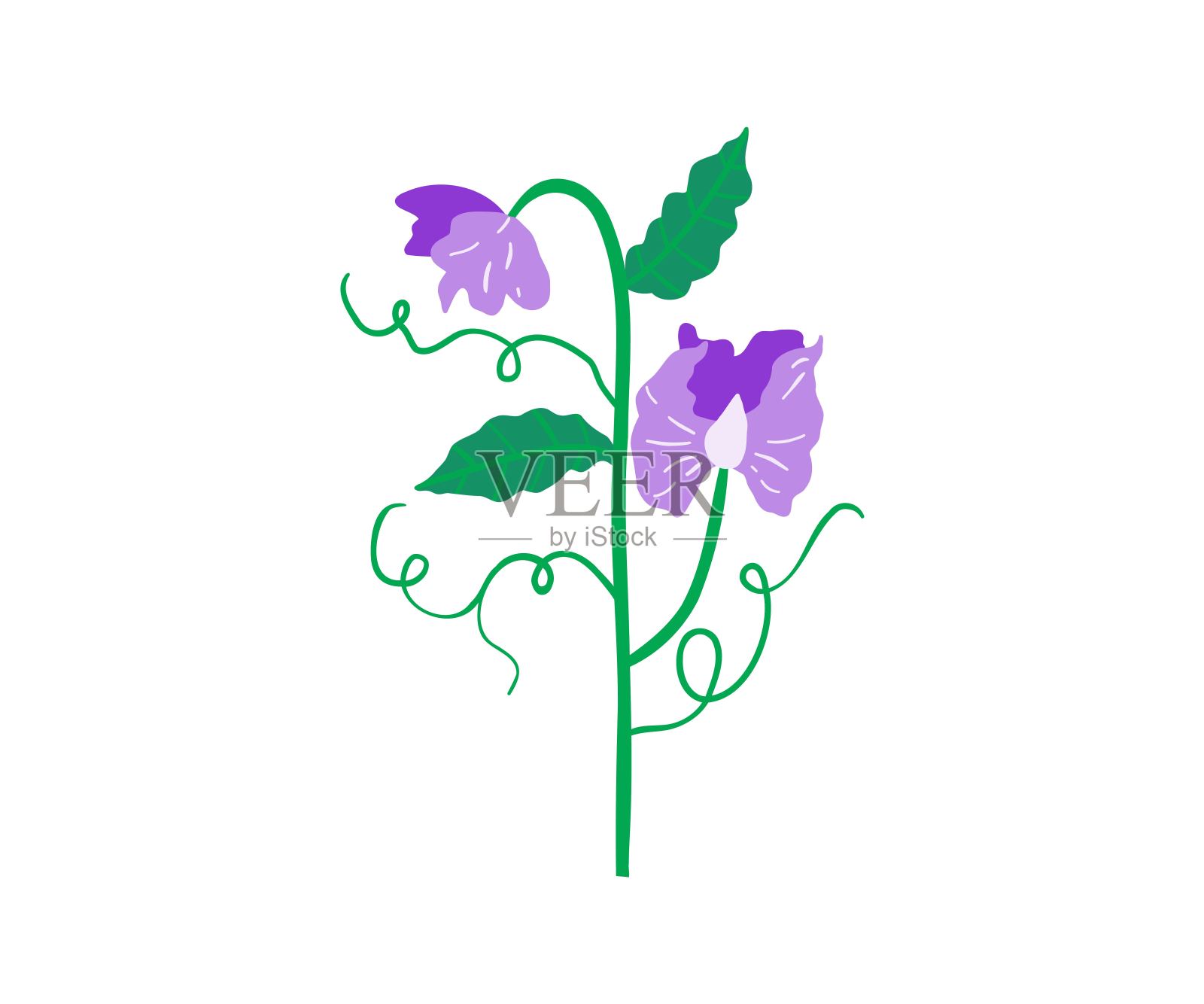 手绘夏日花。花园，花卉花园，植物。矢量插图在平面风格。插画图片素材