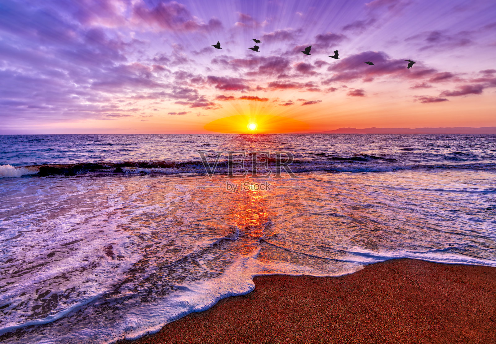 日落海鸟翱翔飞翔励志励志多彩的海洋希望信仰日出照片摄影图片