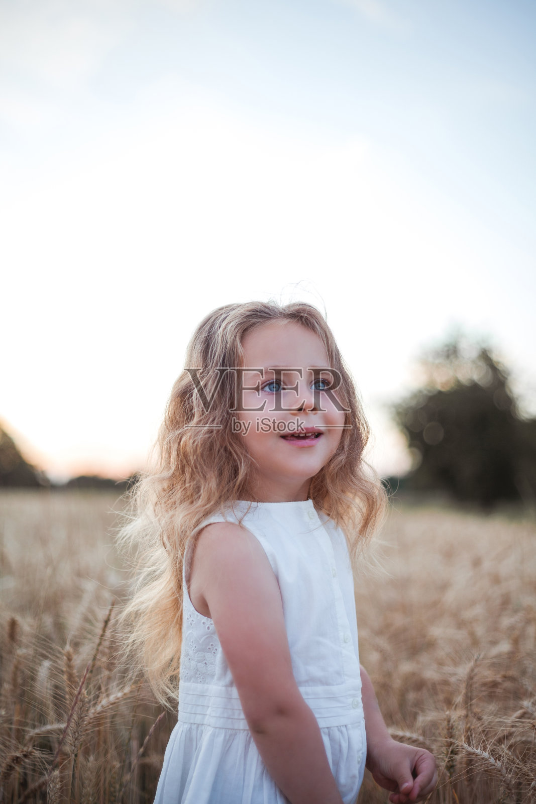 可爱的小卷发女孩4岁在夕阳下的麦田里穿着白色的裙子。快乐的孩子在外面。走路。温暖的夏天。的情绪。照片摄影图片
