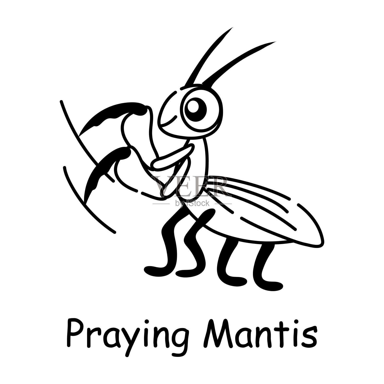 螳螂插画图片素材