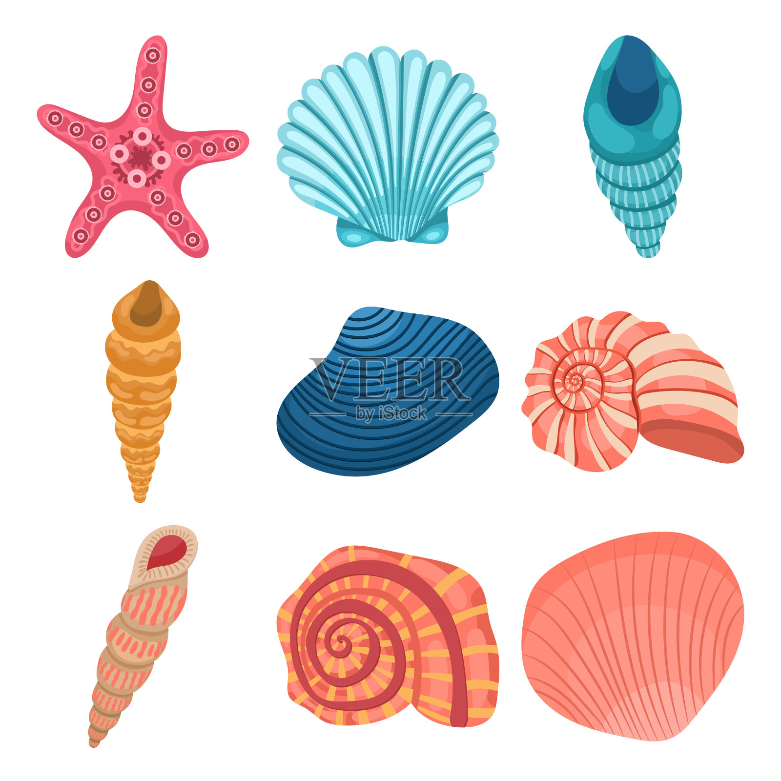 现代海洋夏季图标收集不同的贝壳在白色的背景插画图片素材