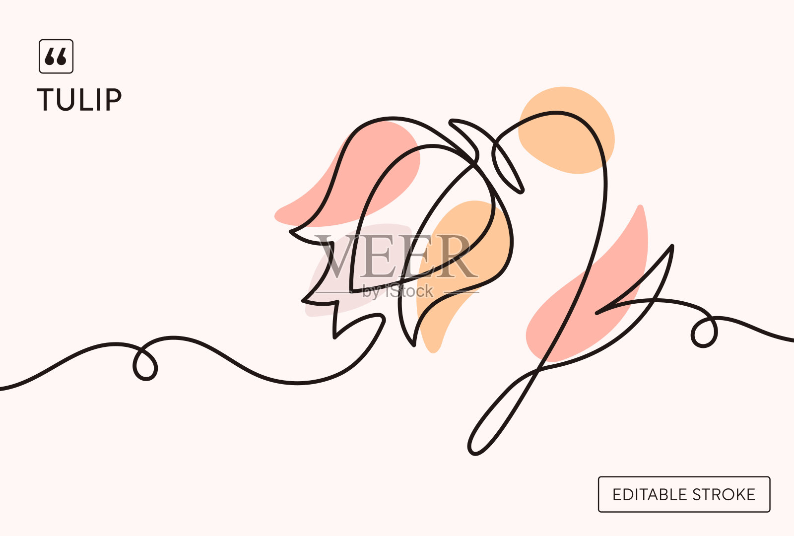 郁金香连续线插图插画图片素材