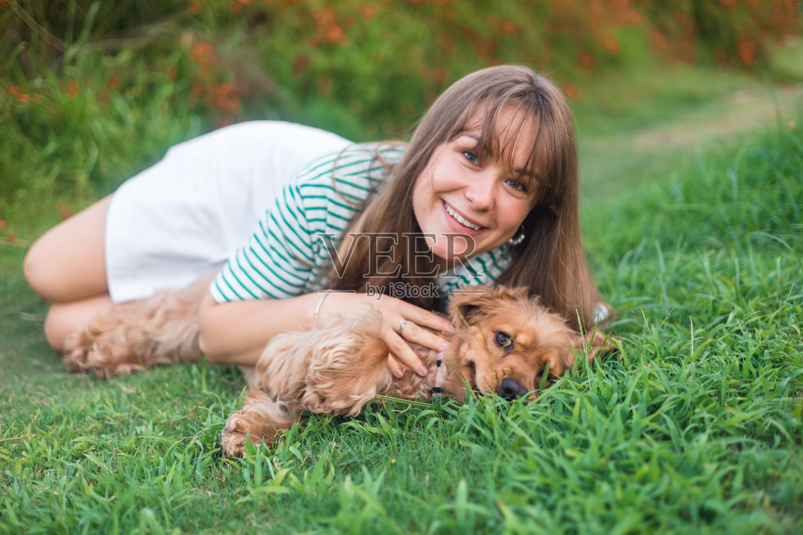 可卡犬和年轻漂亮的女人玩得很开心照片摄影图片