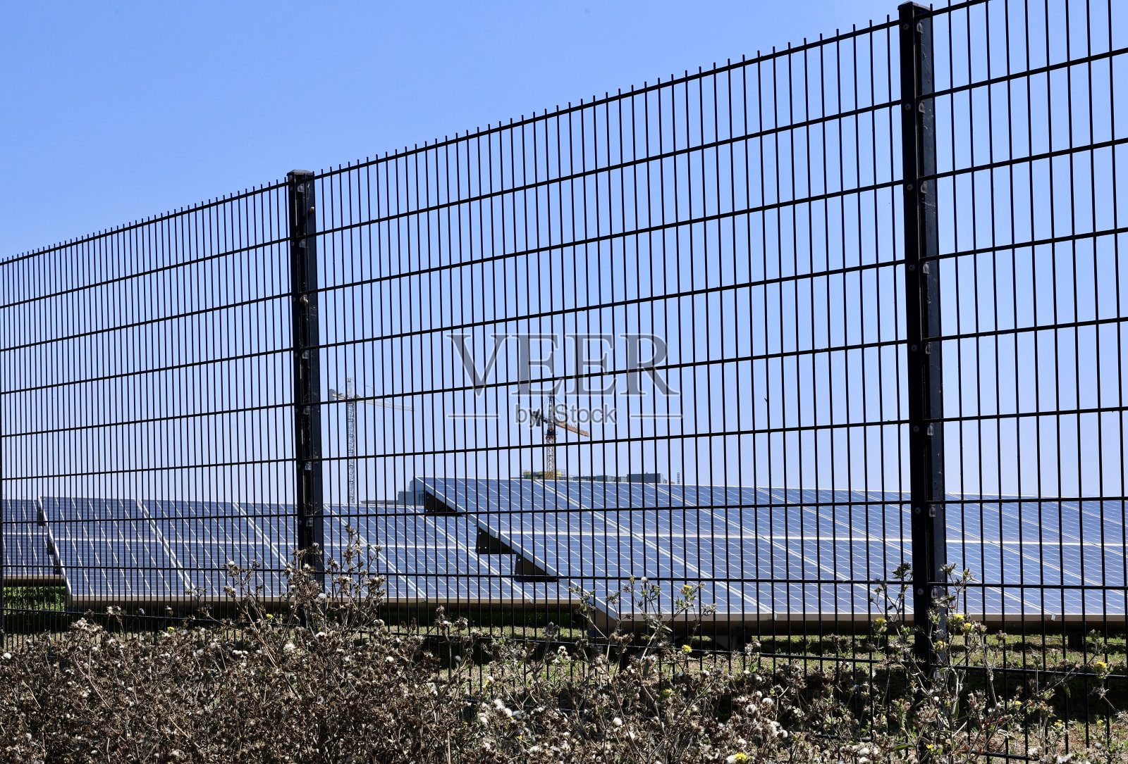 城市环境中的太阳能电池板领域照片摄影图片